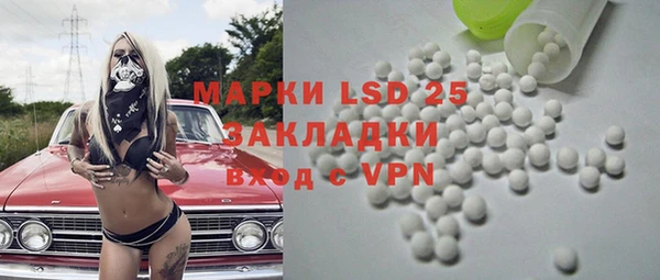 индика Алзамай