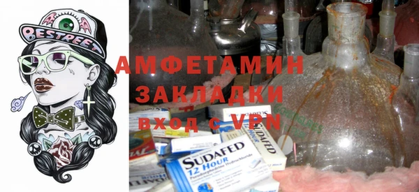 индика Алзамай