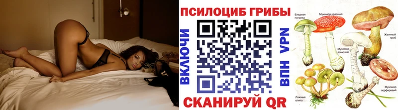 купить мориарти наркотические препараты Галлюциногенные грибы Psilocybe Миллерово