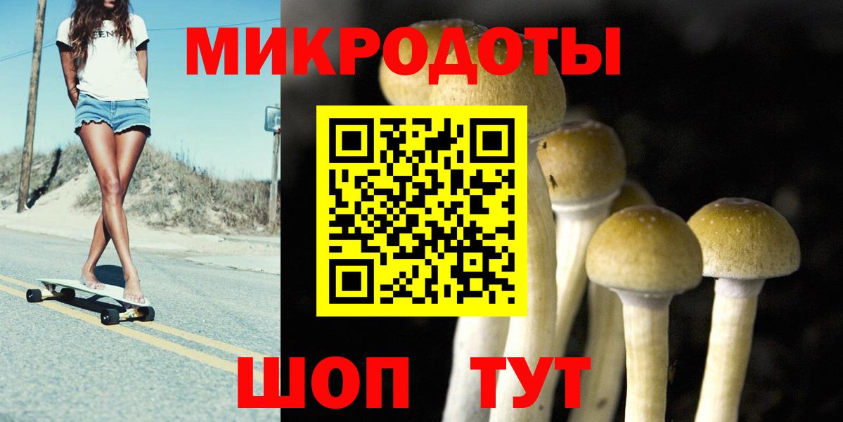 Галлюциногенные грибы Миллерово
