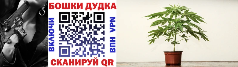 Конопля конопля  купить наркоту  Миллерово 